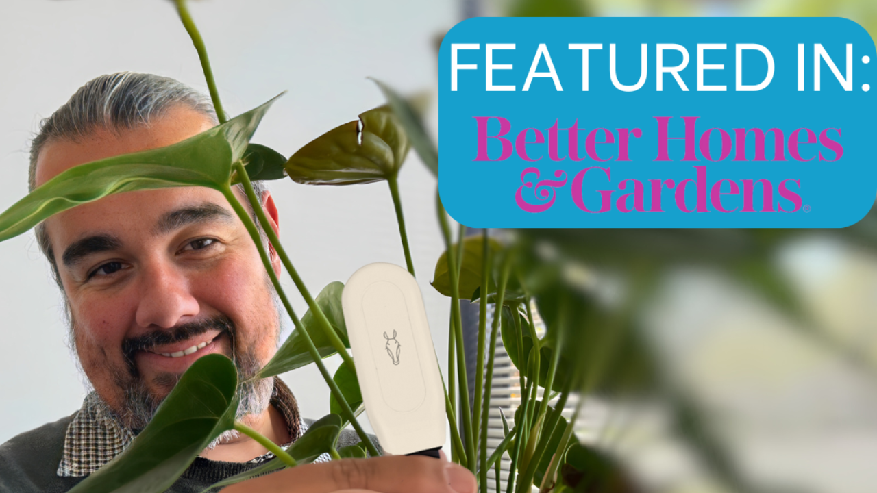 Setting Up a Smart Garden with EEEKIT: Tools You Need for an Automated ...